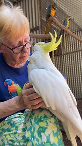 107K views · 10K reactions | He is so funny! A little quiet as I have...