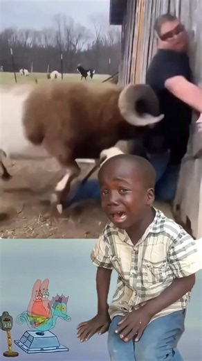 Pure Internet Chaos #funny #beast #beastphilanthropy