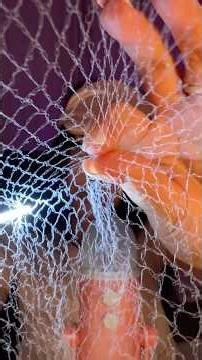 ASMR Spiderweb❤️ #asmr #asmrmouthsounds #tingles #asmrrelaxing #asmrsound #spiderweb #sleepasmr