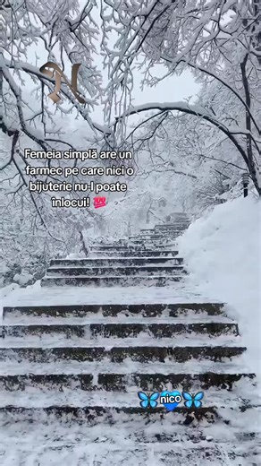 The Unique Charm of Simple Women