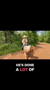 6.2K views · 127 reactions | Available been there, done that 9yr old gelding paint pony. Trained on cart, rodeo and trail. #KidsPony #pony #cartpony #countrykid #paintpony | Patton Ranch | Facebook