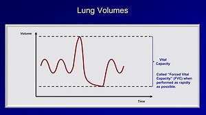 Pulmonary Function Tests (PFT): Lesson 2 - Spirometry on Make a GIF