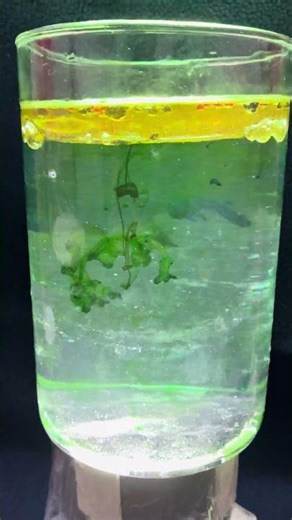 Underwater firework | Oil Water colour | Science Experiment