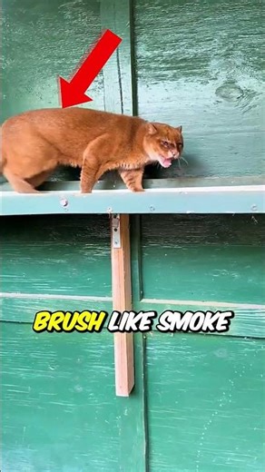 You’ve Probably Never Seen This Predator Before 👀🌿 #shorts