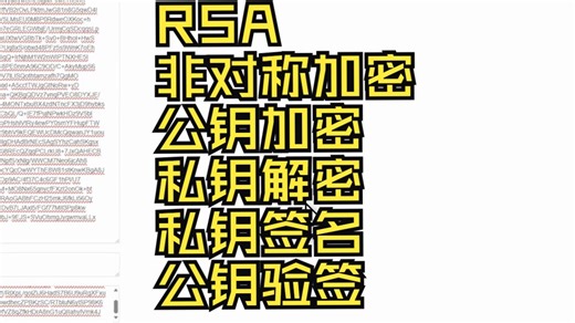 RSA非对称加密，公钥加密私钥解密，私钥签名，公钥验签