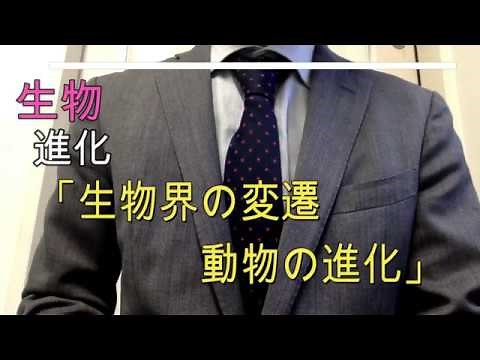 高校生物「進化 生物の変遷（動物の進化）」