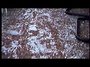 L'hopital marchant et la catastrophe d'AZF