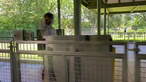 The monorail system at Walt Disney World opened in 1971 with two routes (Magic Kingdom: Resort and Express) It was expanded to three lines (Magic Kingdom: Resort and Express, plus Epcot) in 1982. Currently the Epcot monorail is not running, hopefully that will change soon. The average speed of a monorail is 40 mph, the top speed 55 mph. Each train is identified by a colored stripe, and named according to that color. Let's take a Monorail ride from the Magic Kingdom to the Transportation and Tick