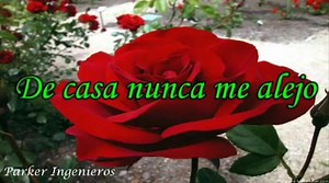 Bon Jovi Cama de rosas En español 😎 | Shory lying videos