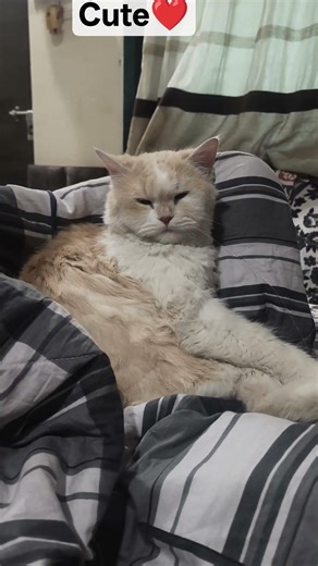 Both are soooo cute#my angels#viral #cute