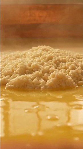 How Parmesan Cheese Is Aged | Inside the Real Science of Cheese Aging #factoryprocess