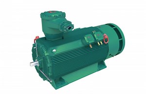 [Hot Item] 250kw Three Phase Dust Explosion-Proof Induction Motor (ATEX certified)