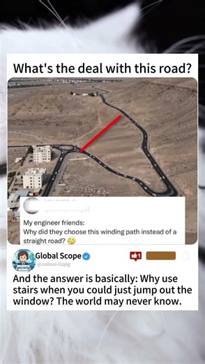 The Winding Road That Broke Every Engineer’s Brain #civilengineering #desertlife #roadconstruction
