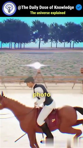 The galloping horse that started the film industry #history #innovation #howthingswork