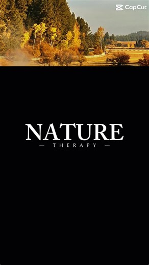 Nature is therapy Nature therapy, also known as ecotherapy, involves using nature to improve mental and physical health. Spending time outdoors can reduce stress, enhance mood, and promote overall well-being. #sdross #nature #reducestress #photography #home