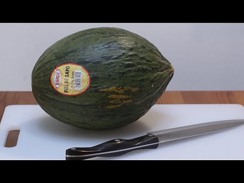 How to eat Piel de Sapo | Santa Claus Melon | Taste Test