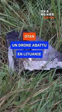 OTAN: un drone abattu au-dessus de la Lituanie