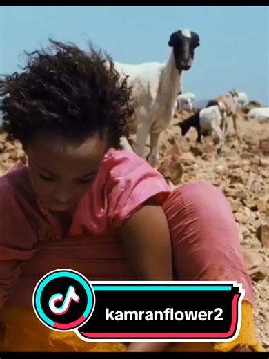 🌵 The Desert That Changed Her Life 🌵 In the scorching deserts of Somalia 🏜️ lived a little girl named Wariss 👧✨. She stayed with her mother, father, and two younger brothers ❤️👨‍👩‍👧‍👦. From the outside, her life looked calm… almost romantic… filled with wandering dunes and warm sunsets 🌅💛. But behind this beauty was a painful old tradition ⚠️💔—a ritual done to young girls. Wariss, too, faced this tradition in childhood, a moment that changed her life forever 😢🕊️. It left a scar not 