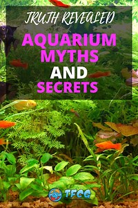 Top 9 Freshwater Aquarium Myths & Secrets Revealed | TFCG