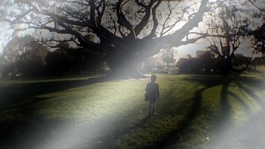 Walkabout (1971) Jenny Agutter, David Gulpilil, Luc Roeg Adventure, Drama