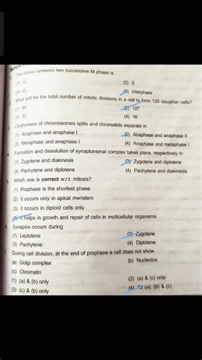 Cell Cycle PYQ Answer