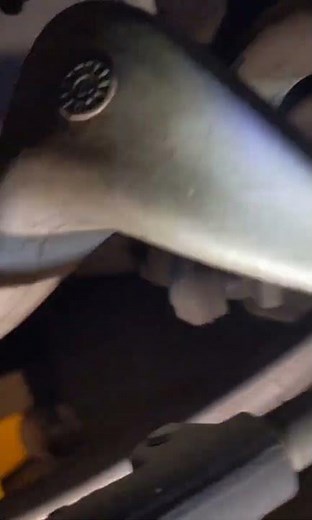 Do Your Coilovers Have A Knocking Problem?