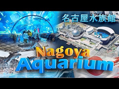 Exploring Nagoya Aquarium #japan |名古屋水族館