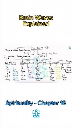 Brain Waves Explained: How Your Mind Changes States #brainwaves