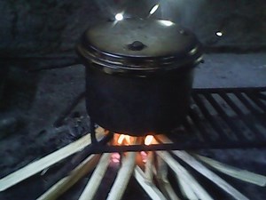 PART A Preparing a Plant Indicator