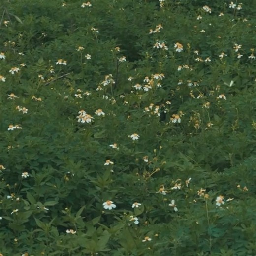 59K views · 894 reactions | just say hello | Music US-UK | Facebook