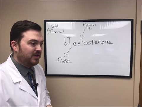 Low Testosterone, The Liver, and Sex Hormone Binding Globulin
