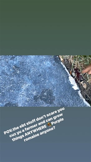 Farmer Trap 👩🏾‍🌾🪤✨ | Taylor Thompson