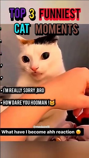 🔥 Top 5 Funniest Cat Moments 2025 – Try Not To Laugh Challenge 😂😸 (Viral Cat Compilation #cat #funny