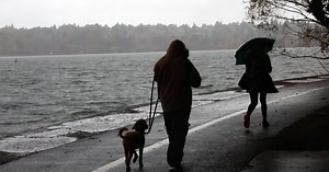 Seattle had its wettest day of 2025. Here's what comes next