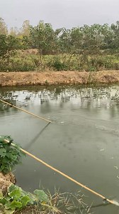 The slowly fading memories of the countryside... Fishing #RuralLife #RuralLife #FishFishing | Anhnongdanth