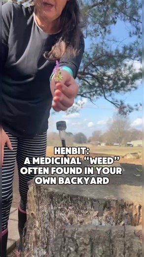 Tis the season for Henbit! #henbit #medicinalplants #herbalmedicine