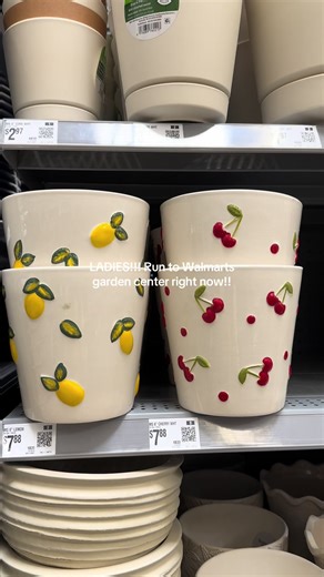 So excited for spring!! Back porch area and garden coming soon🤩🌷 @Walmart #walmartfinds #gardencenter #springtime #gardening #spring