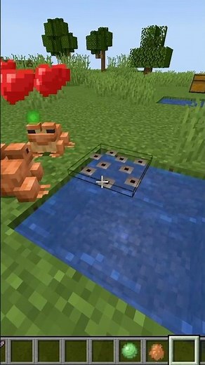 How to breed FROGS in Minecraft #minecraftbreeding #minecraftfrog #frogs