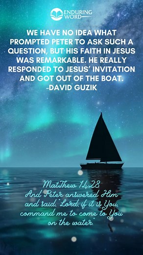 David Guzik commentary on Matthew 14. Visit the website to learn more. #enduringword #Matthew #bibleverses #biblestudy enduringword.com/bible-commentary/matthew-14/ | Enduring Word - David Guzik
