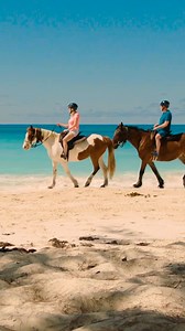 7.3K reactions · 233 shares | Your next Caribbean escape sounds like pure paradise. ️ | Princess Cruises | Facebook