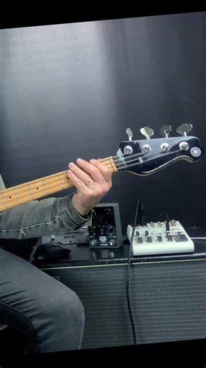 Taylor Swift - Elizabeth Taylor (bass) #basscover #taylorswift