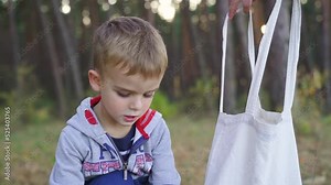 Hands pick up dried cones of coniferous trees. Boy playing with cones