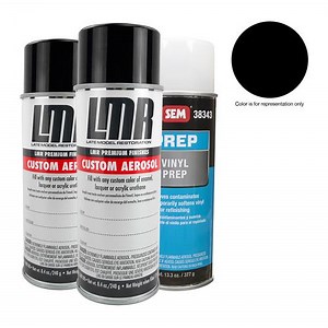 Mustang Interior Paint Kit - Black (79-98) - LMR.com