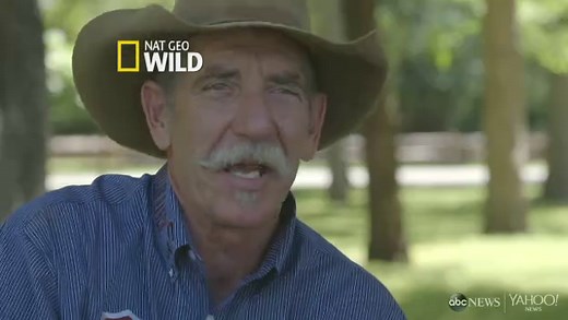 Wild Mustang Trainers Go Head-to-Head at Texas Event