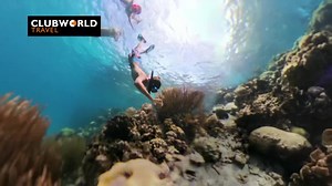 "Keep an eye out for our Royal Caribbean ad, airing on all Sky channels from today! 🌟 Don't miss the excitement as we set sail aboard the Oasis of the Seas, fly-cruise from Belfast. Get ready for adventure! ⛵️ #RoyalCaribbean #SkyTV" | Clubworld Travel Carrickfergus