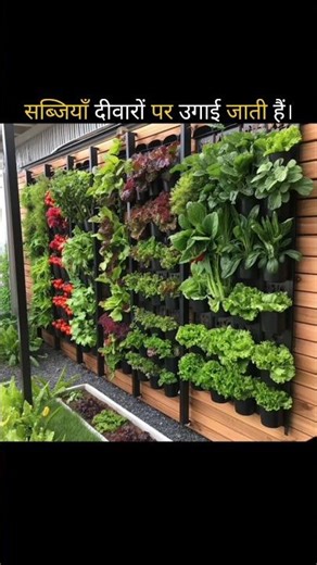 No Land? No Problem! Israel’s Vertical Farming 🇮🇱