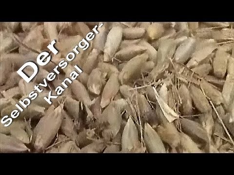 Wie trenne ich die Spreu vom Getreide