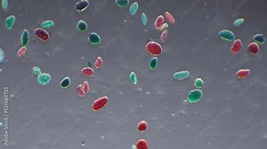 Whole mount pollen germination under 100x microscope magnification filmed with oblique illumination. Plants multicolored stamens in pollination circle. Sample with flora spores for educational issues. vídeo de Stock