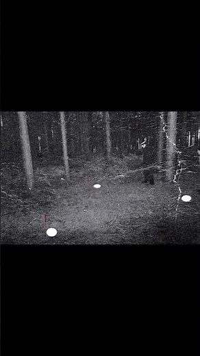 The UFO That Landed in Rendlesham Forest, Known as Britain's Roswell