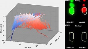 Time-lapse video shows two paths of aging